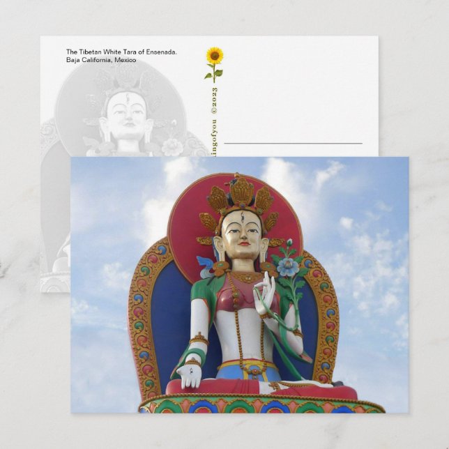 The Tibetan White Tara of Ensenada - postcard (Front/Back)