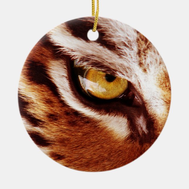 The Tiger's Eye Photograph Ceramic Tree Decoration (Front)