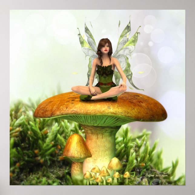 The Toadstool Fairy Poster Print (Front)