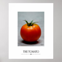 The Tomato