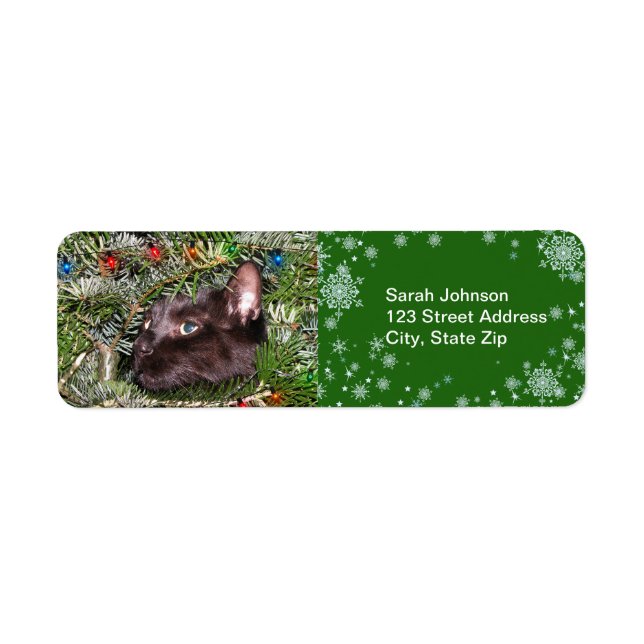 The tomcat in the Christmas tree  Label (Front)