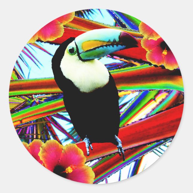 The toucan classic round sticker (Front)