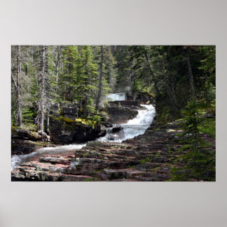 The trail to Virginia Falls, Glacier Park MT. Poster