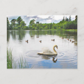 The Tranquil Lake Postcard