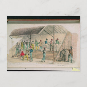 The Tread Mill Postcard