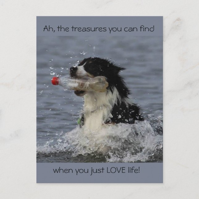 The treasures of life, postcard (Front)