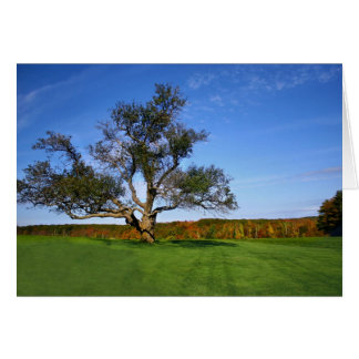 The Tree at Topsmead - Blank