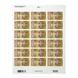 The Tree of Knowledge by Hilma af Klint Label