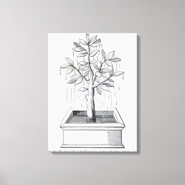 The Tree of Life, or the Weeping Tree Canvas Print (Front)