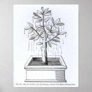 The Tree of Life, or the Weeping Tree Poster