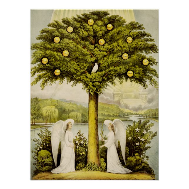 The tree of life poster (Front)