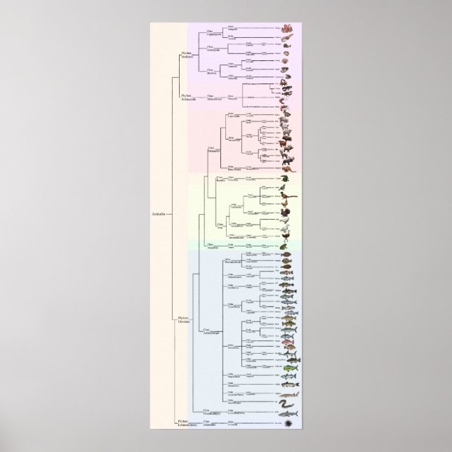 The Tree of Yum: Animalia Print (Front)
