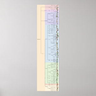 The Tree of Yum: Plantae Poster