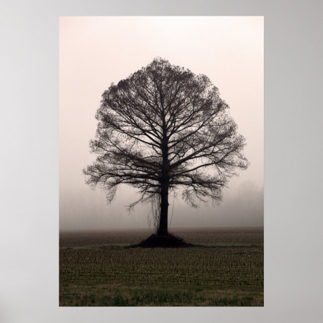 The Tree Poster (Front)