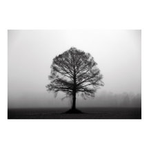 The Tree