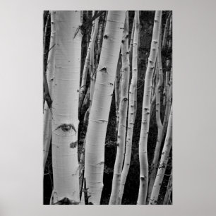 The Trees Have Eyes Poster