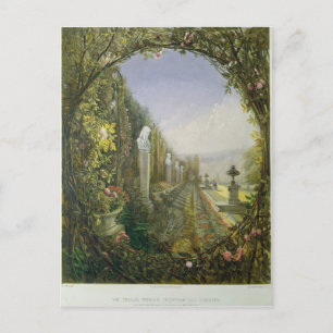 The Trellis Window, Trentham Hall Gardens Postcard