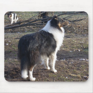 The Tri-colour Collie Mouse Mat