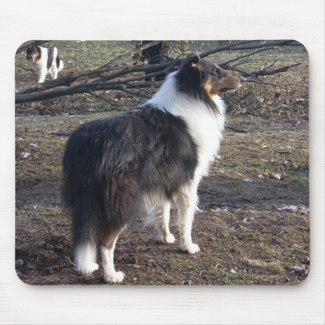 The Tri-colour Collie Mouse Mat (Front)