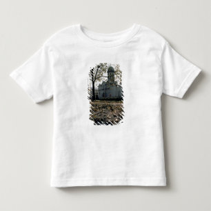 The Trinity St. Sergius Cathedral Toddler T-Shirt