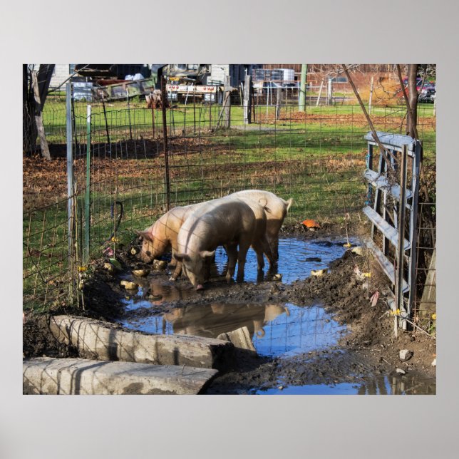 The Trio Poster (Front)