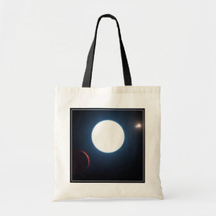 The Triple Star System Hd 131399 Tote Bag