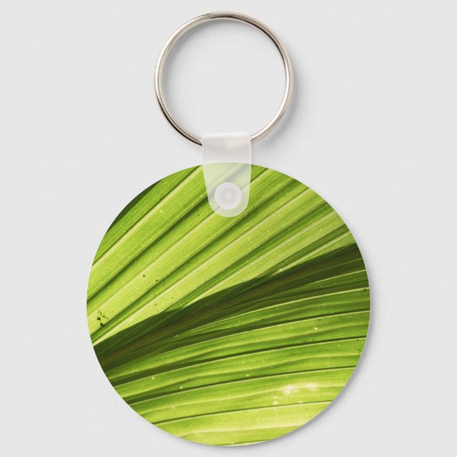 The Tropics Key Ring (Front)