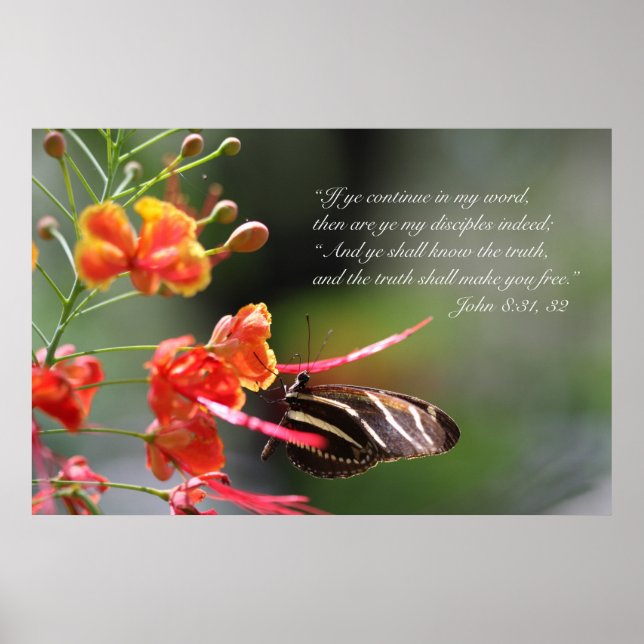 The Truth Shall Set you Free Poster, Version C Poster (Front)