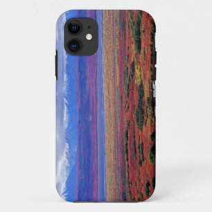 The tundra of Denali National Park in the late iPhone 11 Case