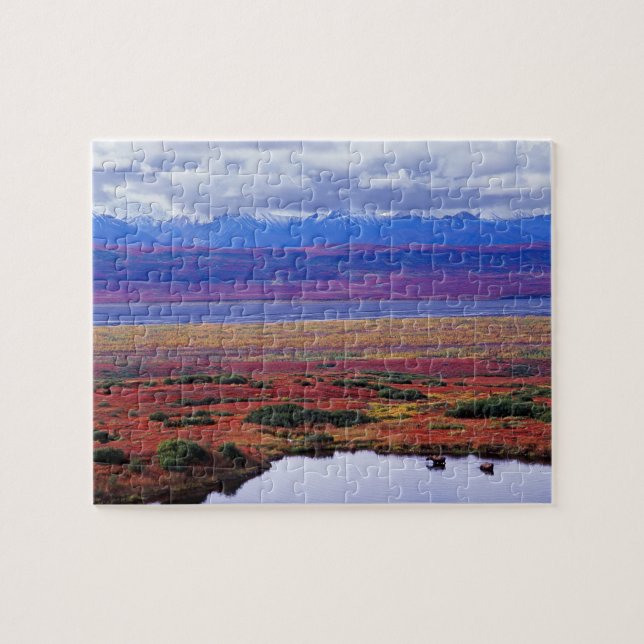 The tundra of Denali National Park in the late Jigsaw Puzzle (Horizontal)