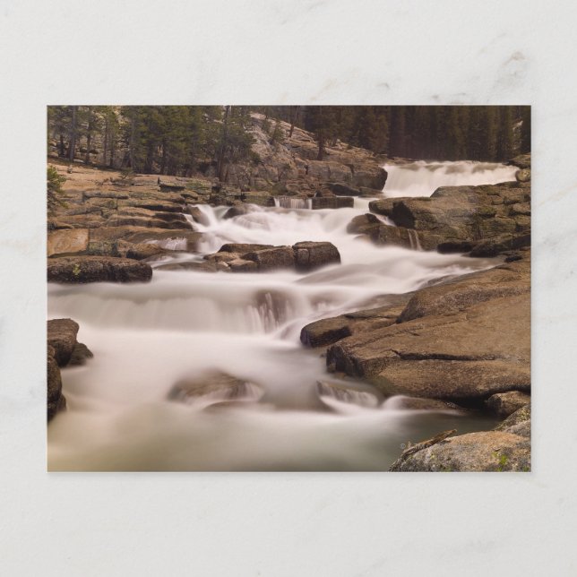 The Tuolumne River cascades over granite Postcard (Front)