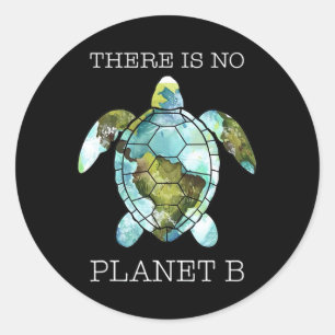 The Turtle There Is No Planet B Earth Day Classic Round Sticker