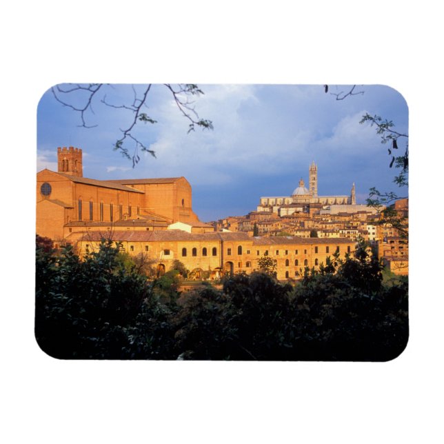 The Tuscan village of Sienna, Italy. Magnet (Horizontal)