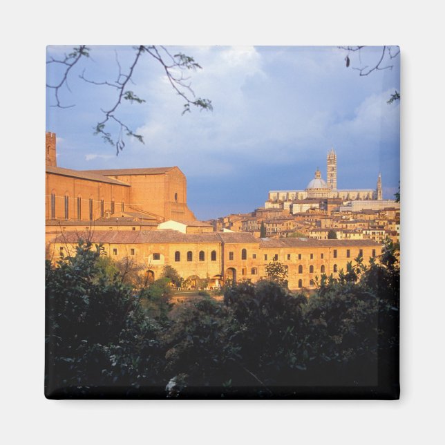 The Tuscan village of Sienna, Italy. Magnet (Front)