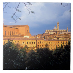 The Tuscan village of Sienna, Italy. Tile