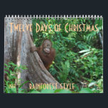 The Twelve Days of Christmas by orangutans Calendar<br><div class="desc">Imagine "The Twelve Days of Christmas" done rainforest style with orangutans! The artist donates her profits on this calendar  to the orangutan Care Centre,  home to 350 orphans,  where she volunteers.</div>