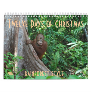 The Twelve Days of Christmas by orangutans Calendar