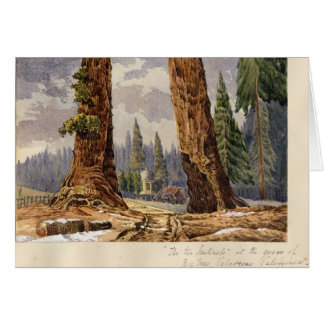 The Two Sentinels, at the Grove of Big Trees