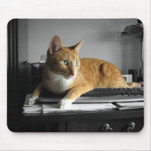 The Typist Mouse Mat