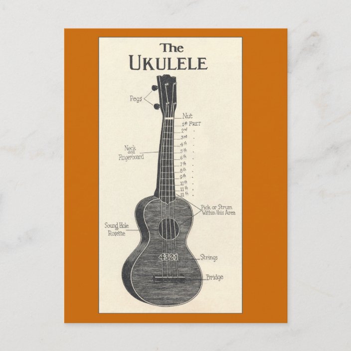 The Ukulele Postcard Zazzle.co.uk