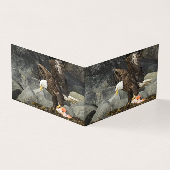The Ultimate Bald Eagle (Outside)
