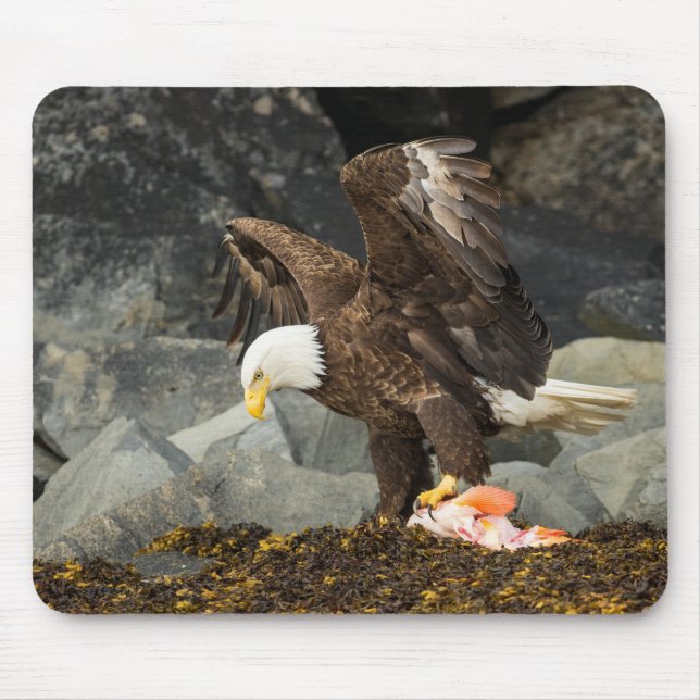 The Ultimate Bald Eagle Mouse Mat (Front)