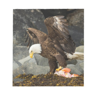 The Ultimate Bald Eagle Notepad