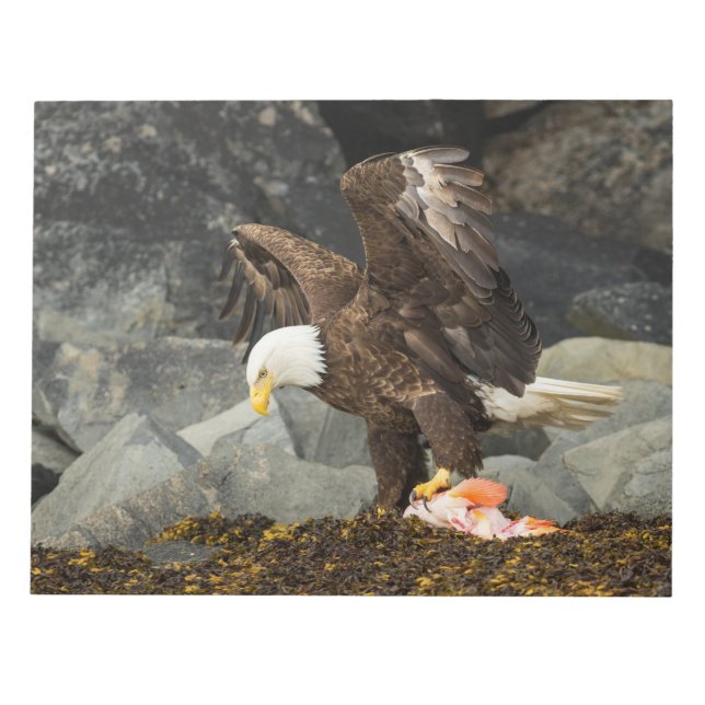The Ultimate Bald Eagle Notepad (Front)