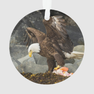 The Ultimate Bald Eagle Ornament