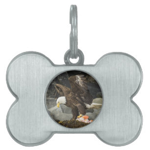The Ultimate Bald Eagle Pet ID Tag