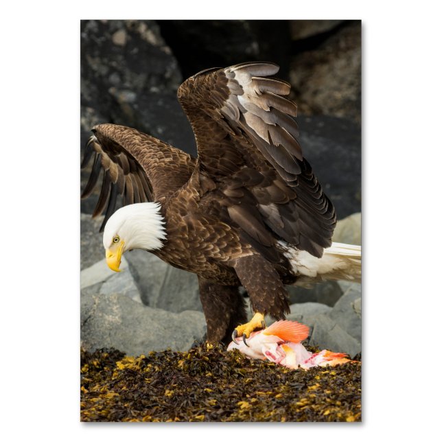 The Ultimate Bald Eagle Table Number (Front)