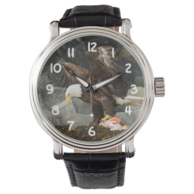 The Ultimate Bald Eagle Watch (Front)