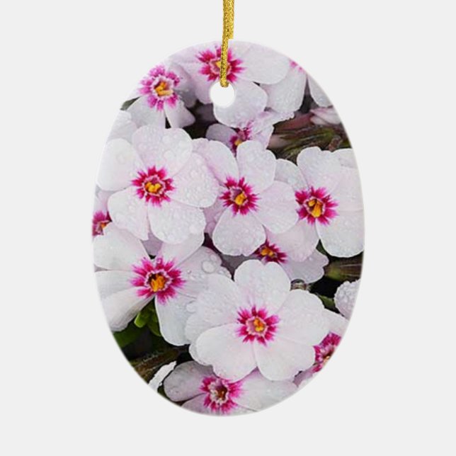 THE "ULTIMATE GARDNER'S" CHRISTMAS ORNAMENT (Front)