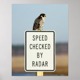 The Ultimate Irony Poster